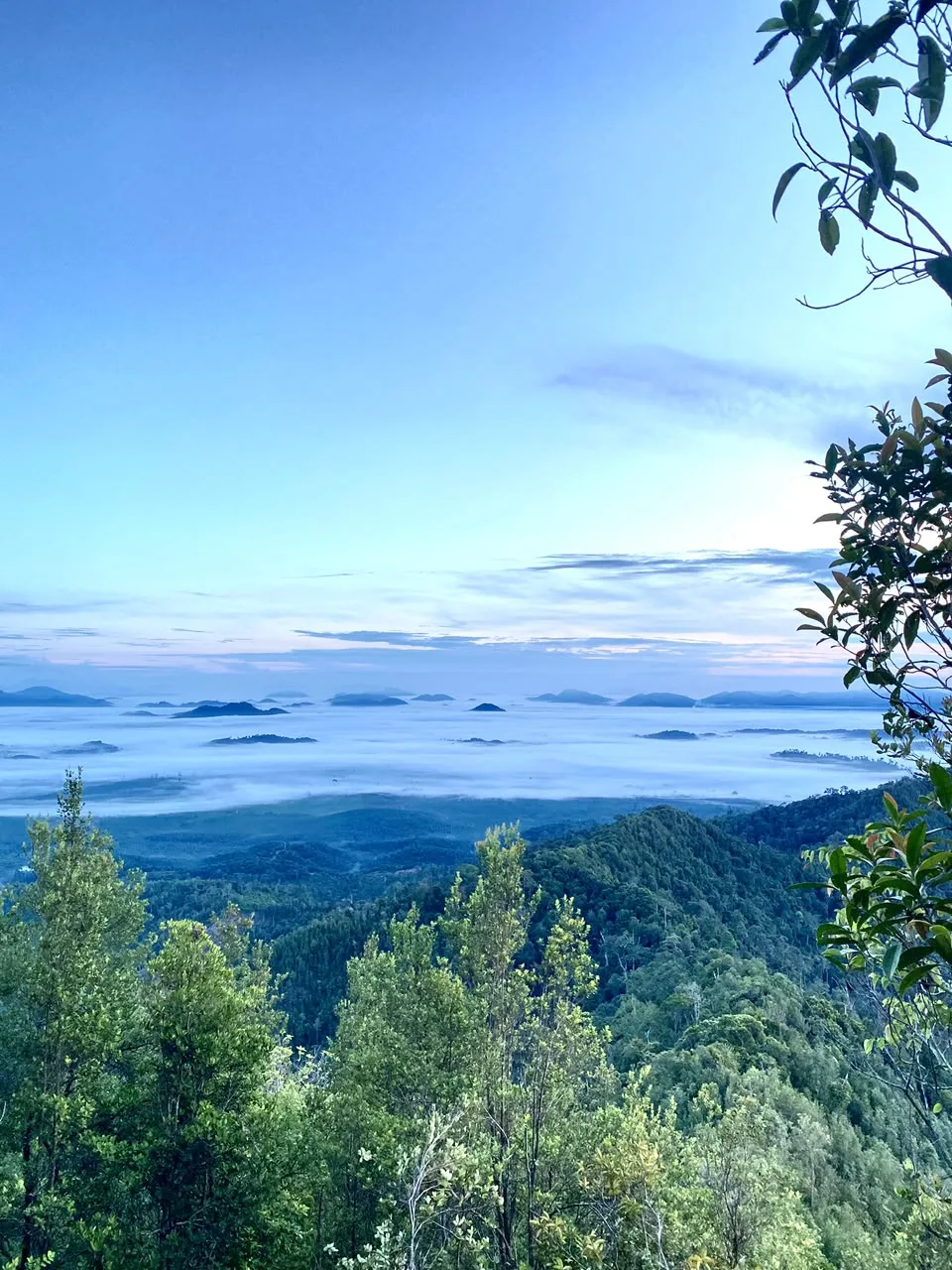 Bukit Pinis Sukamara, Pesona Alam dari Permata Kecubung yang Menawarkan Wisatawan Panorama Negeri di Atas Awan